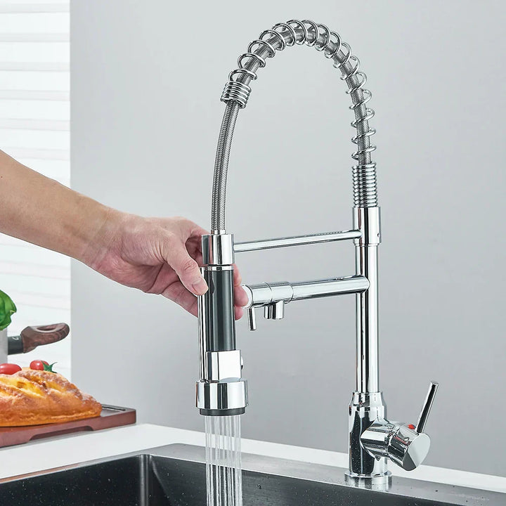 Lisslune | SpringFlow – Kitchen faucet with dual outlet