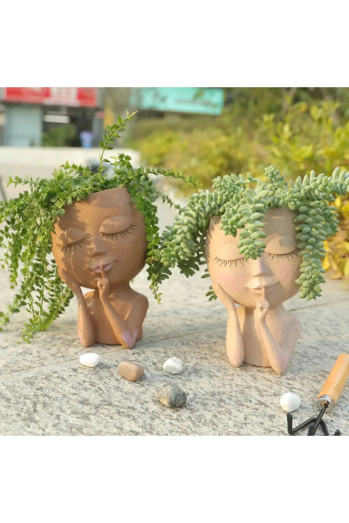 Lisslune | Succulent Plants Pot