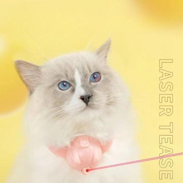 Lisslune | Smart USB Rechargeable Spring Cat Play Teaser Toy
