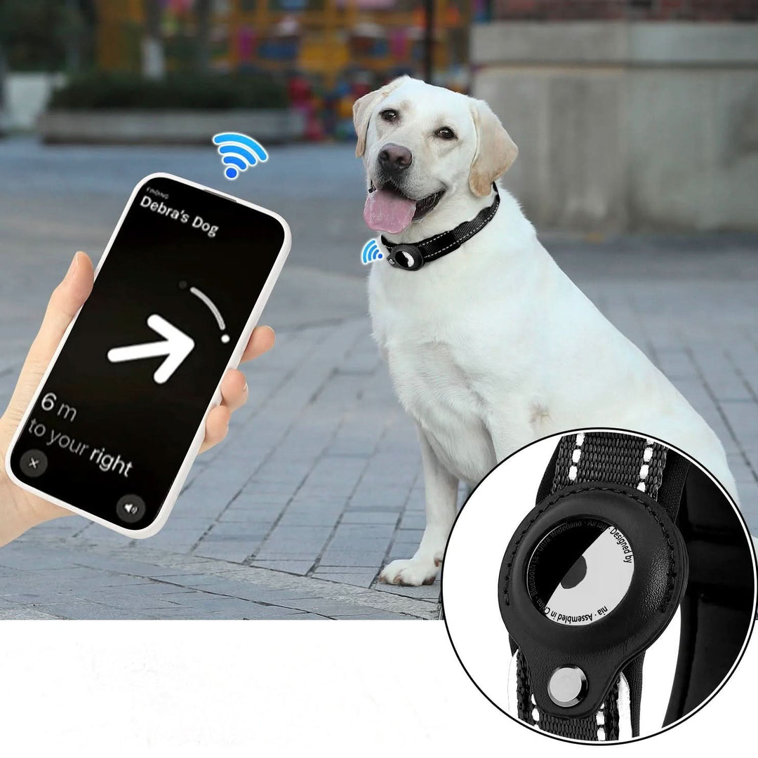 Lisslune | LEAZO - AirTag Dog Collar