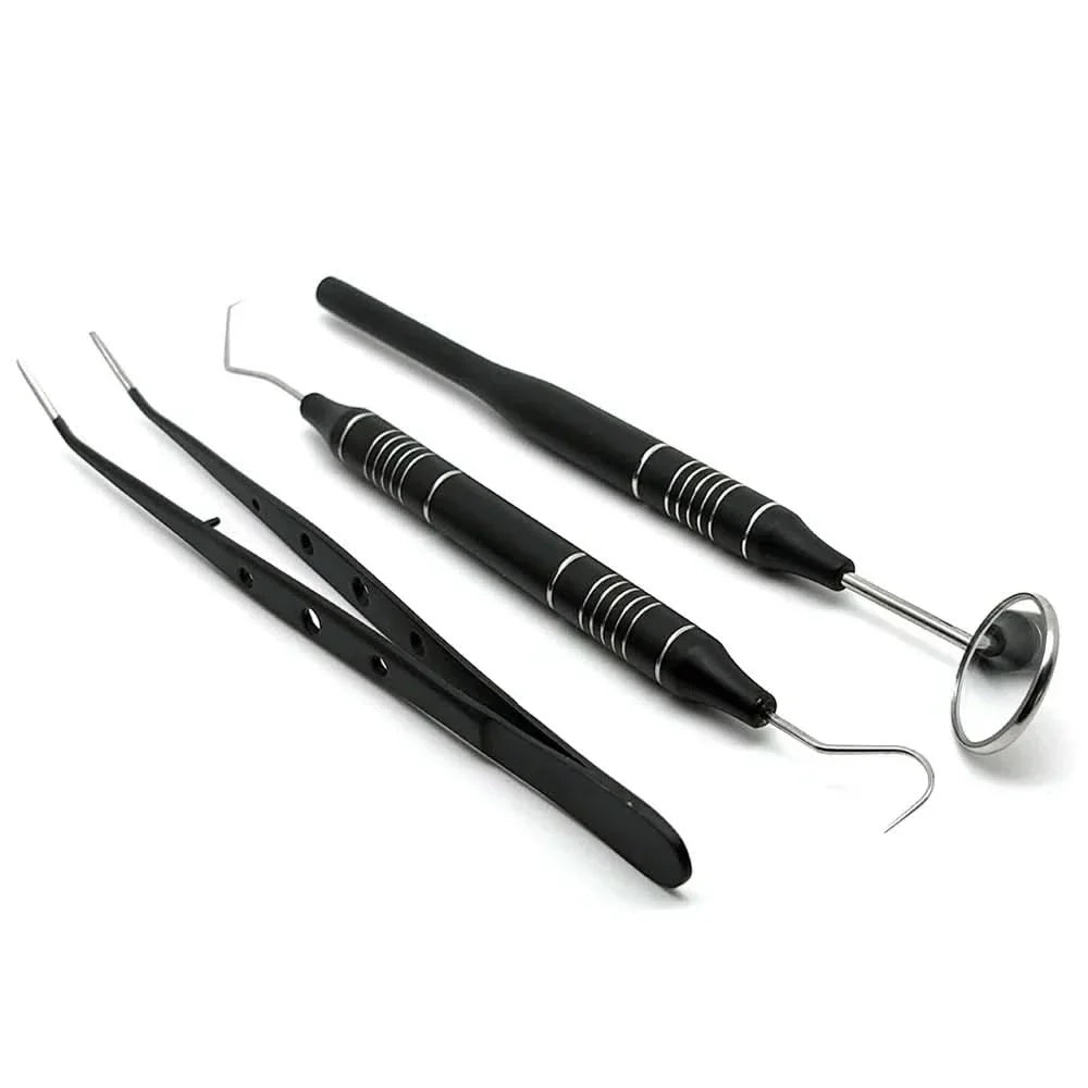 Lisslune | Stainless Steel Teeth Cleaning Kit with Dental Tools