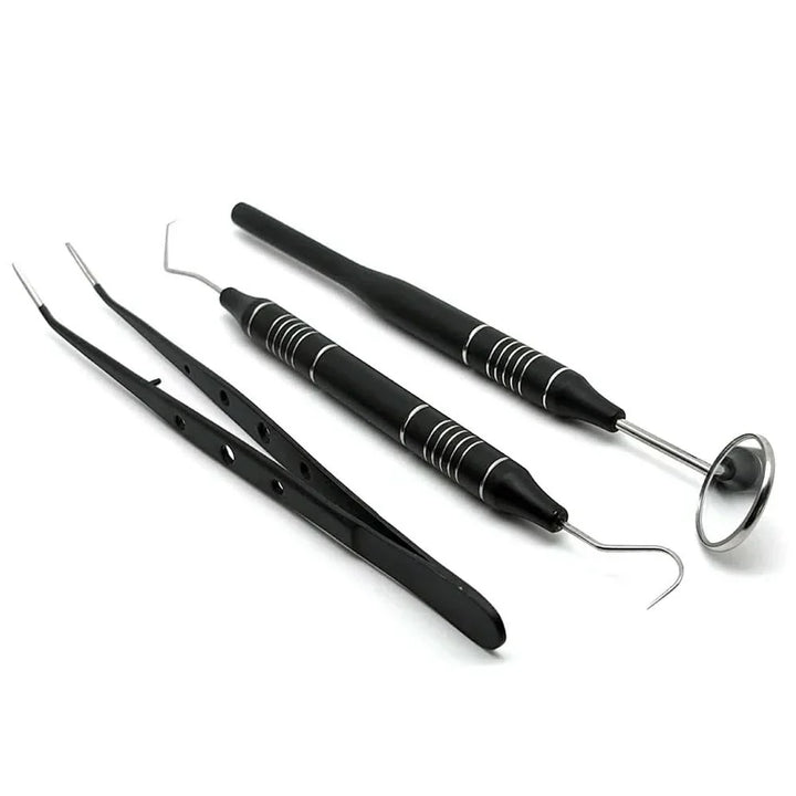 Lisslune | Stainless Steel Teeth Cleaning Kit with Dental Tools