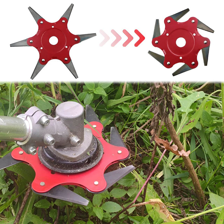 Lisslune | Universal 6 Steel Razor Blade Trimmer Head
