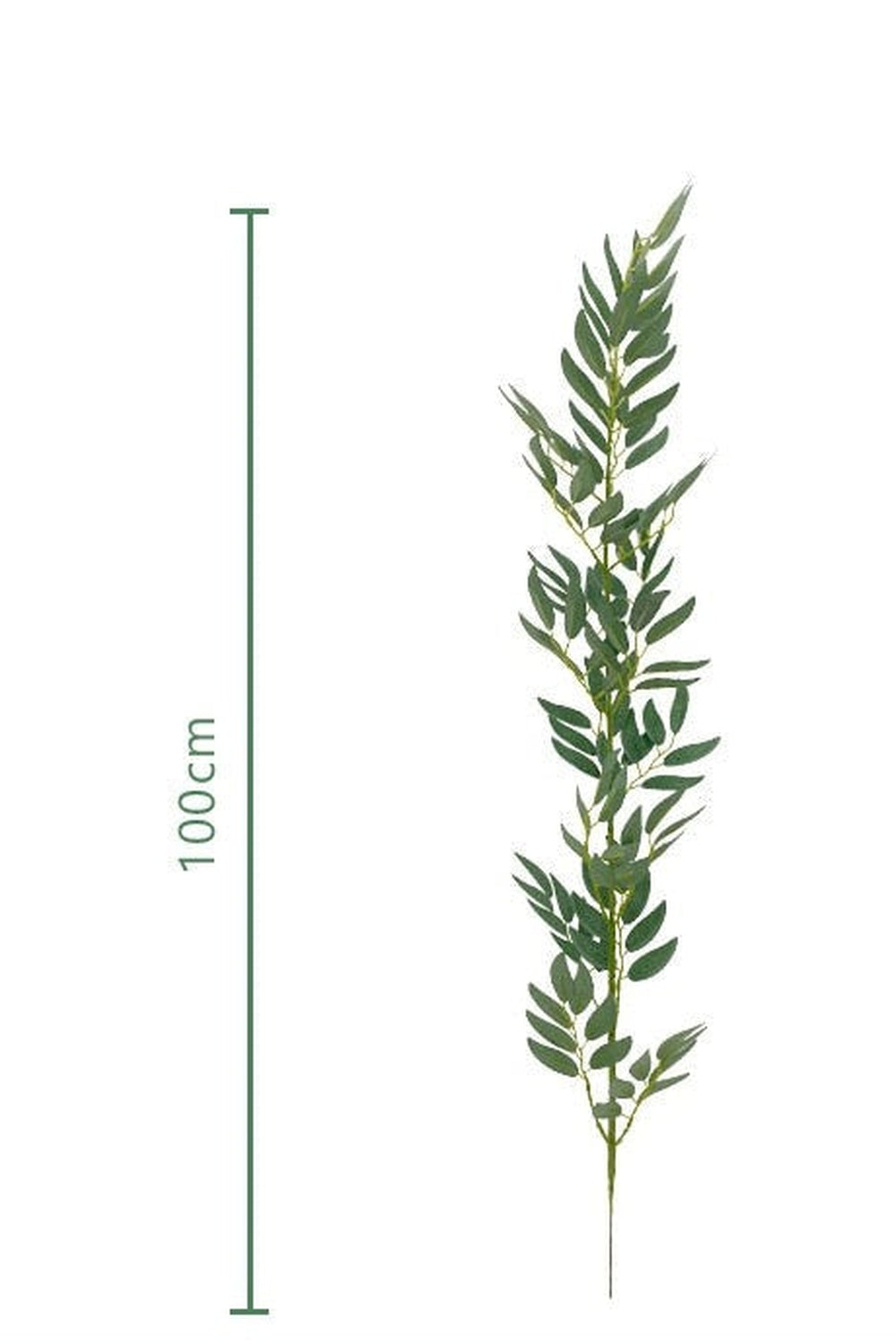 Lisslune | bamboo leaf