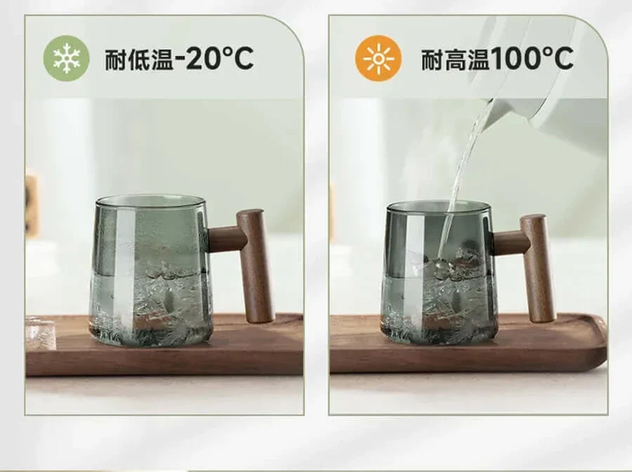 Lisslune | Ultramodern Glass Tea Cup with Filter and Lid