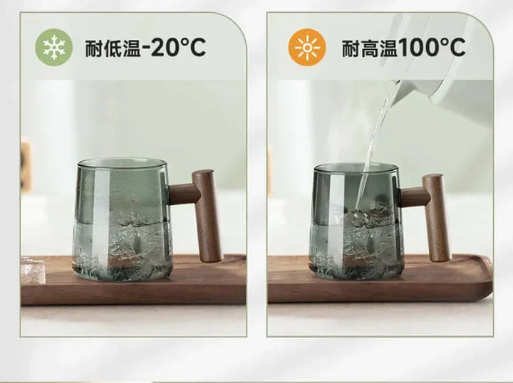Lisslune | Ultramodern Glass Tea Cup with Filter and Lid