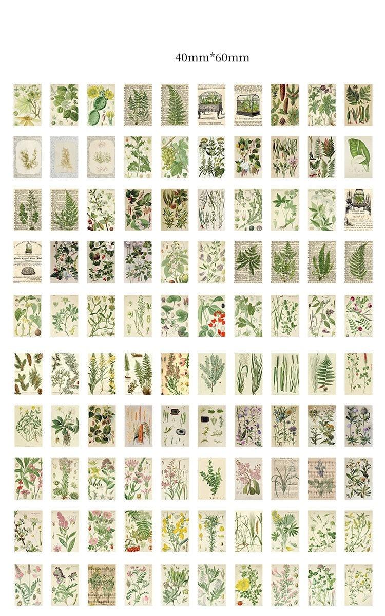 Lisslune | Artisan Elegance: 100-piece Luxury Paper Craft Collection