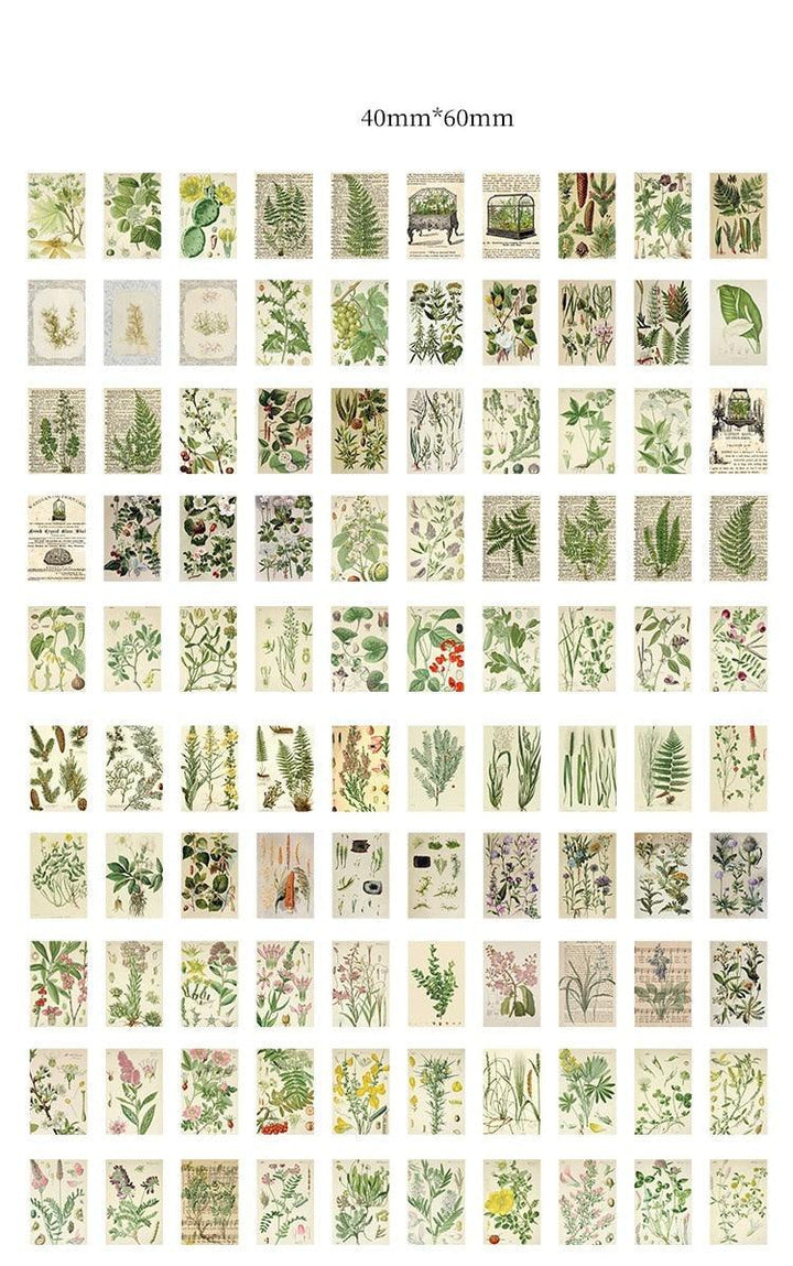 Lisslune | Artisan Elegance: 100-piece Luxury Paper Craft Collection