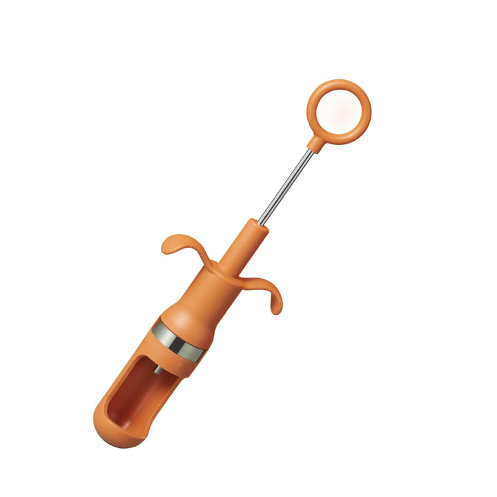 Lisslune | Easy Fruit Seed Remover