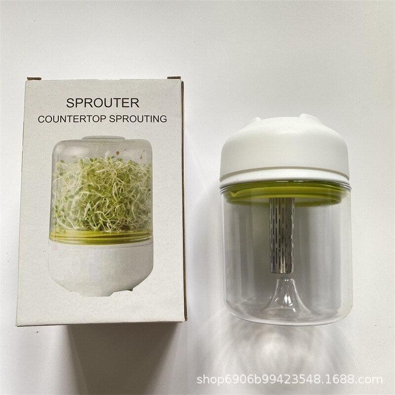 Lisslune | Glass Sprout Station: Effortless Indoor Garden Set