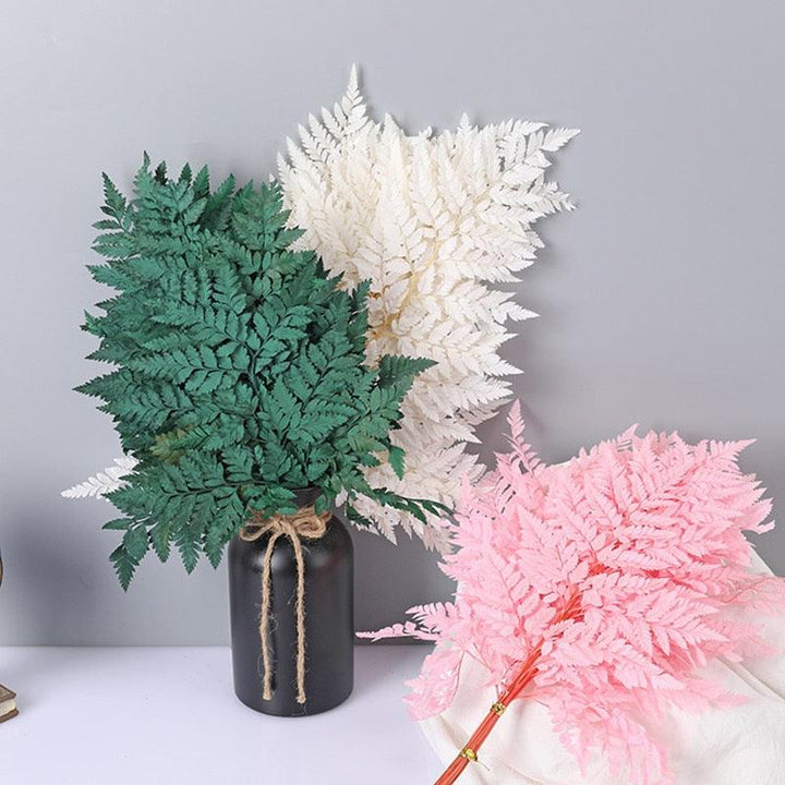Lisslune | Alpine Serenity Fern Decor Kit: Bring the Essence of Nature Indoors