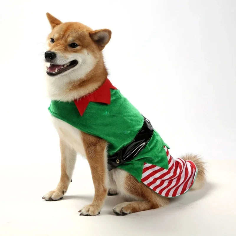 Lisslune | Dog Christmas LED Striped Vest