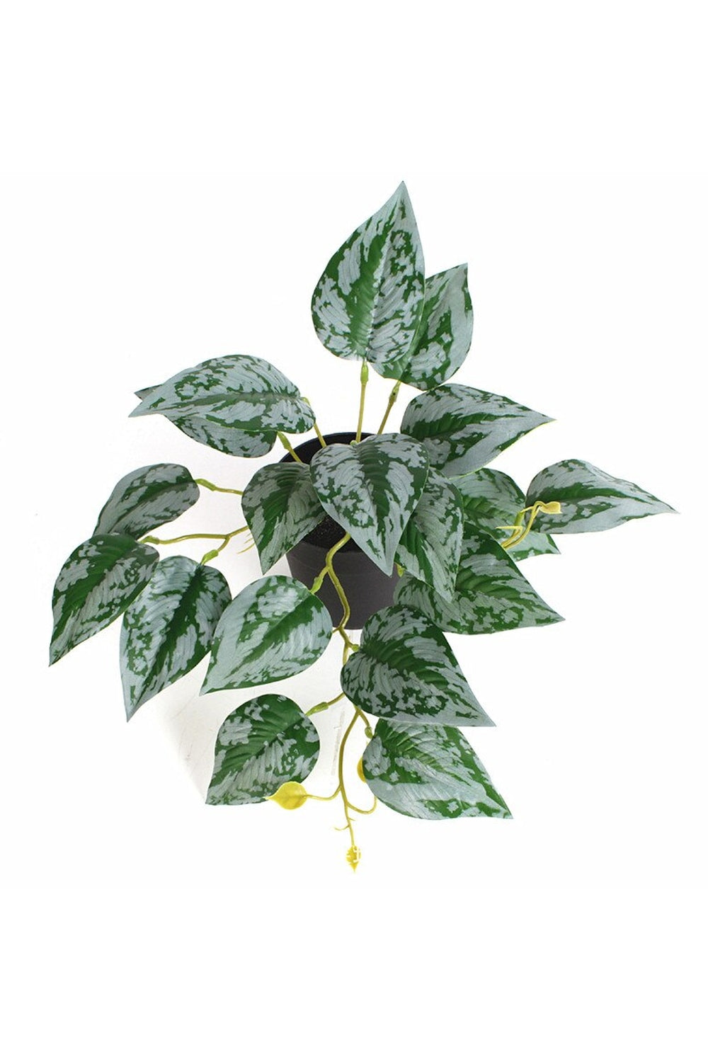Lisslune | green grapevine wall decoration