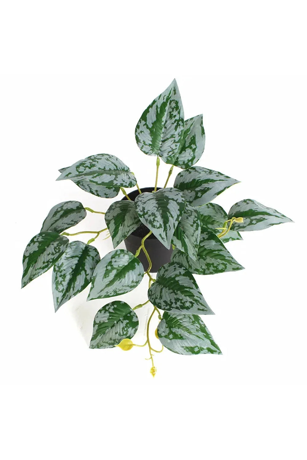 Lisslune | Green Artificial Plants