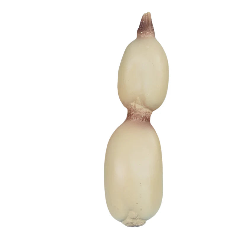 Lisslune | Realistic Red Pepper & Carrot Decorative Props: 2-Piece Artificial Vegetable Set for Dining and Photography