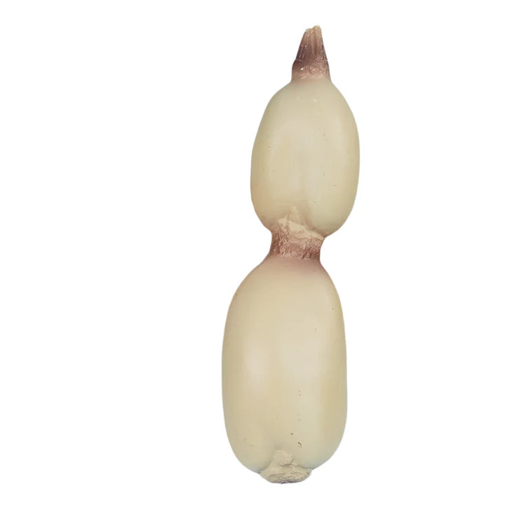 Lisslune | Realistic Red Pepper & Carrot Decorative Props: 2-Piece Artificial Vegetable Set for Dining and Photography
