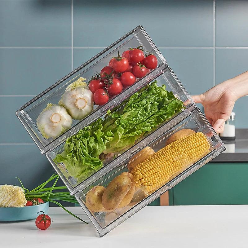 Lisslune | Refrigerator organization freshness container - Ultimate storage solution for neat cooling