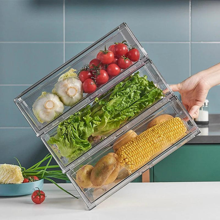 Lisslune | Refrigerator organization freshness container - Ultimate storage solution for neat cooling
