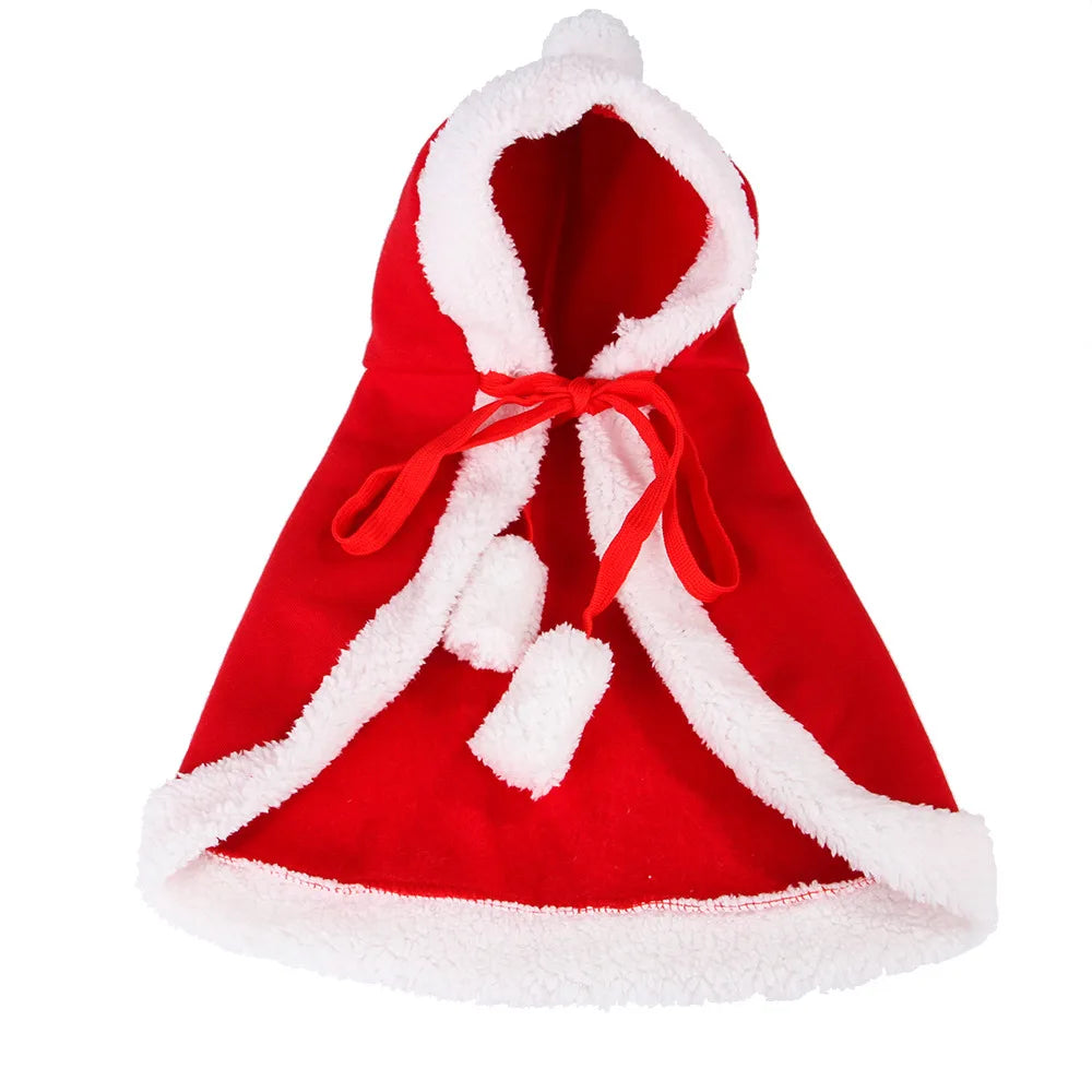 Lisslune | Cat Costume