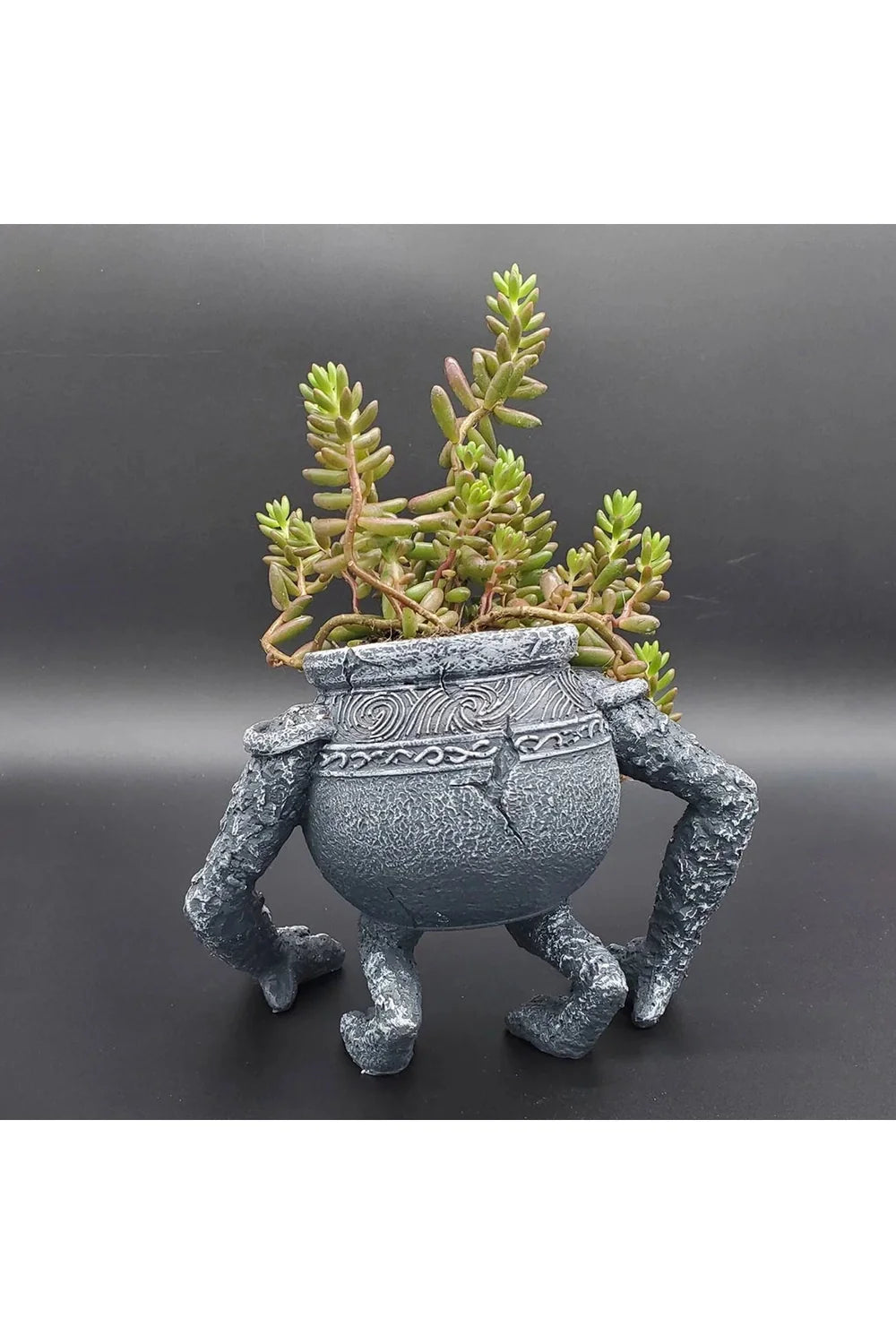 Lisslune | Jar-Garden Plant Pot