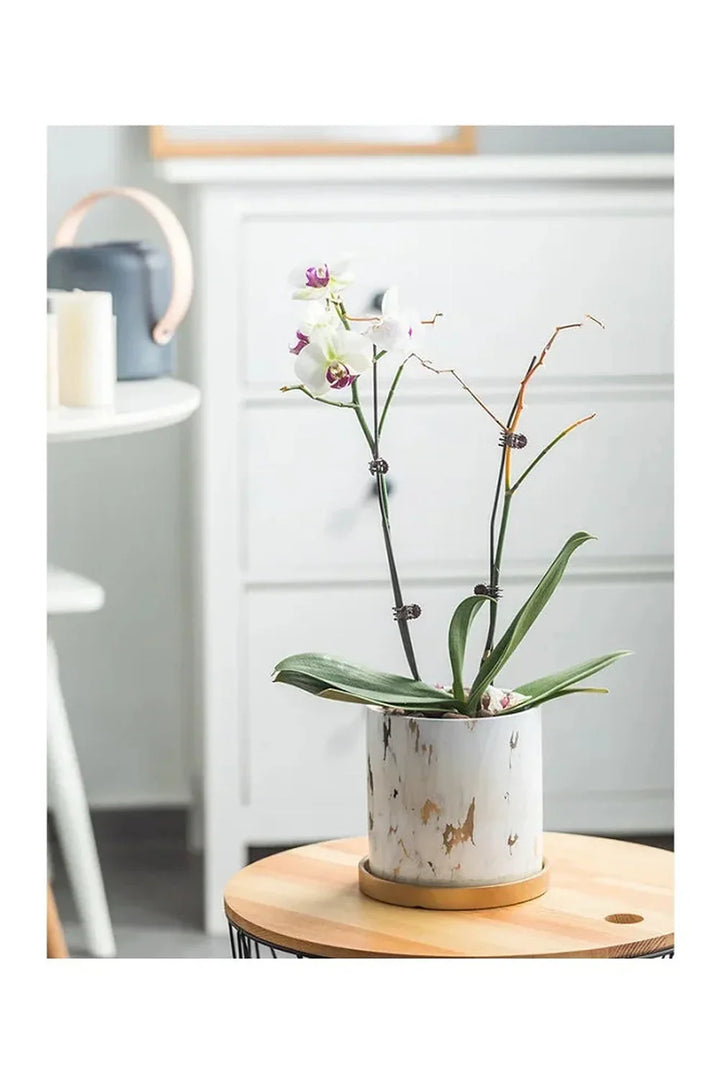 Lisslune | Marble Gold Leaf Plant Pot Set