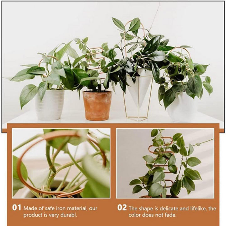 Lisslune | Nordic Plant Climbing Rack