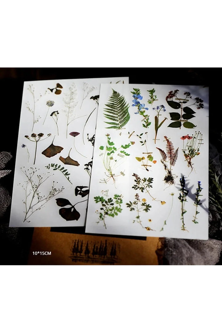 Lisslune | Flower Scrapbooking Stickers