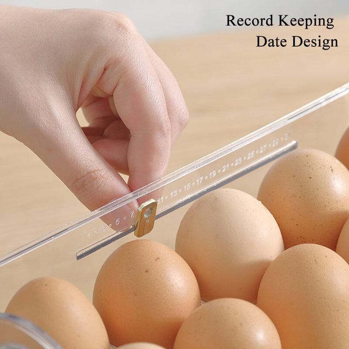 Lisslune | Automatic Flip Egg Storage Rack