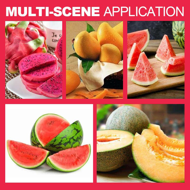 Lisslune | 3in1 Creative Watermelon Slicer Tool