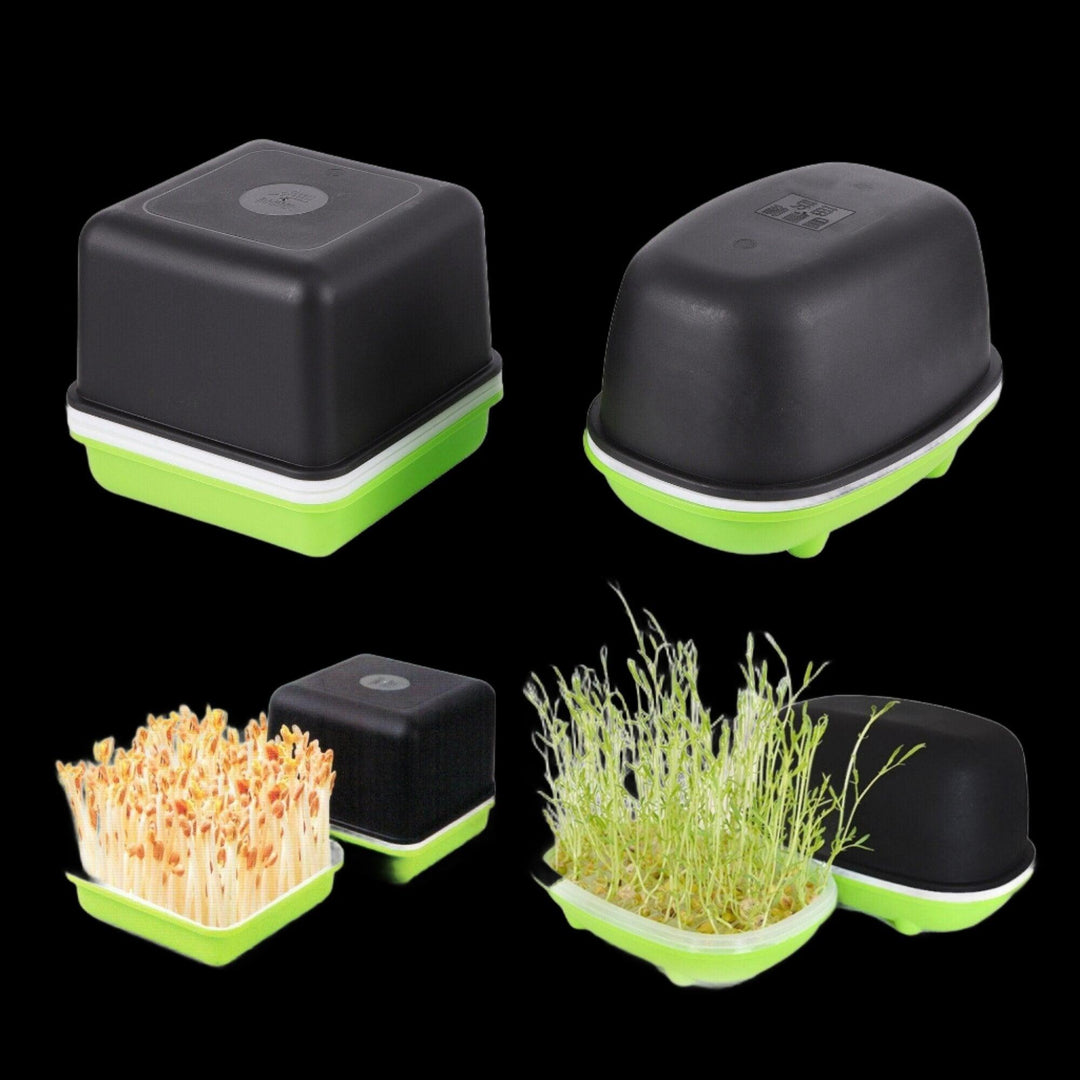 Lisslune | Effortless Fresh Products Sprout Kit for Home Nutrition