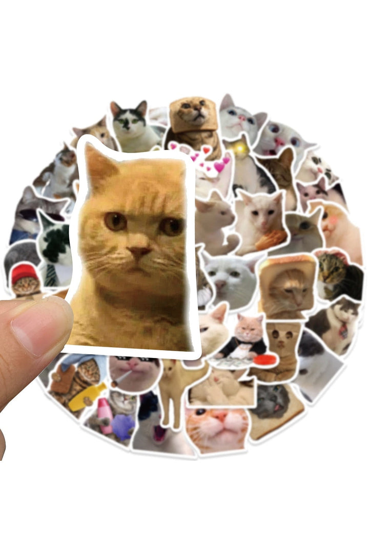 Lisslune | Cat Fun Stickers 50 Pieces