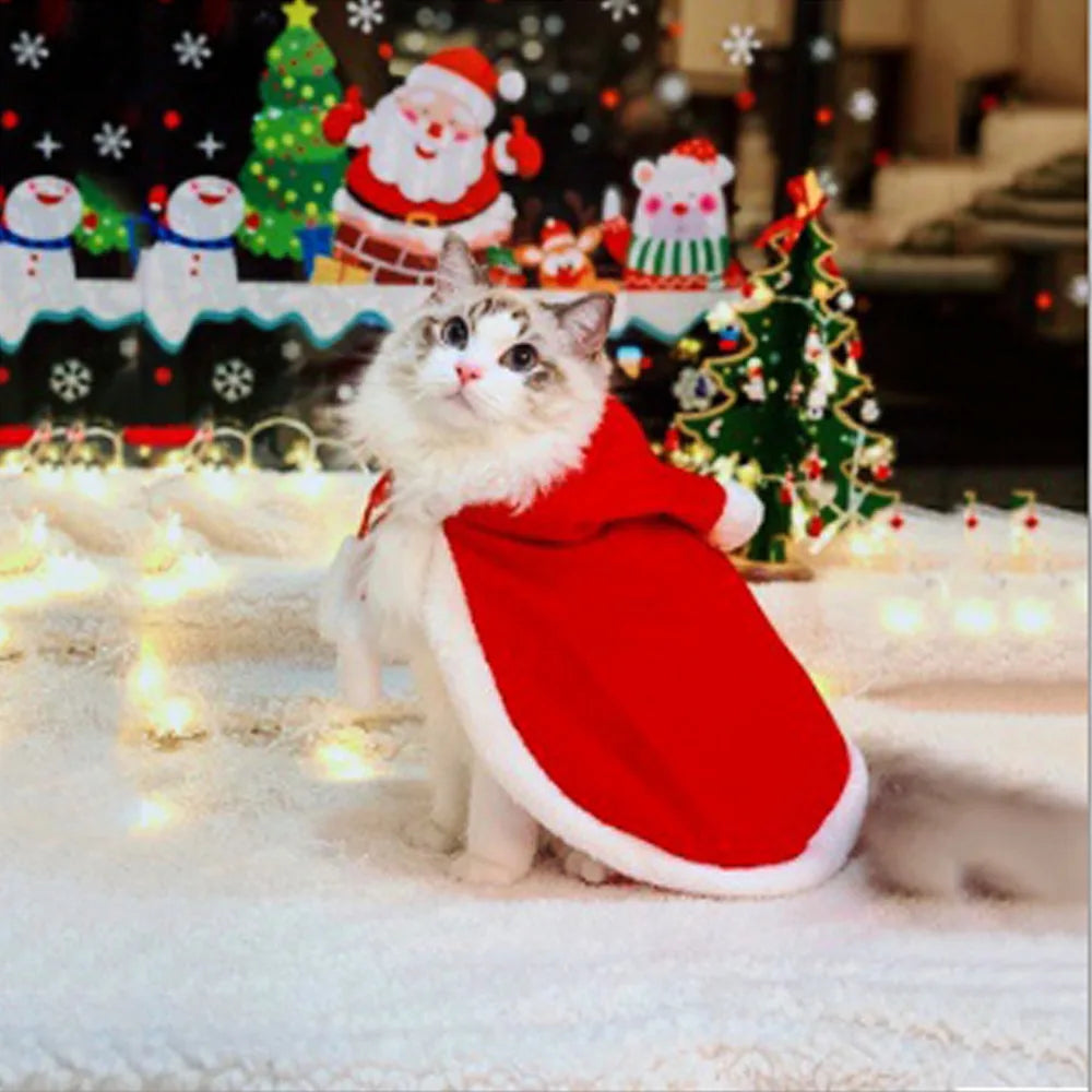 Lisslune | Cat Costume