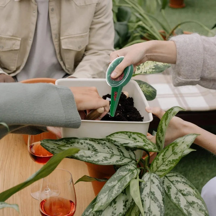 Lisslune | Adjustable Seed Spreader – Precise Garden Seed Distributor for Easy Application