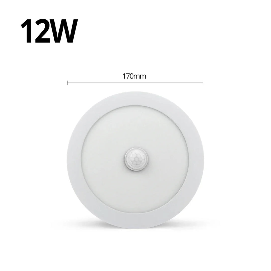 Lisslune | Motion Sensor LED Ceiling Lights – Smart Lighting for Your Home