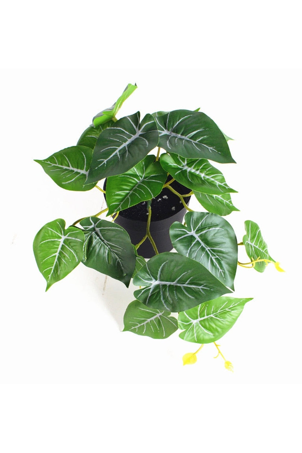 Lisslune | green grapevine wall decoration