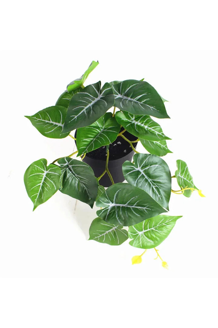 Lisslune | Green Artificial Plants