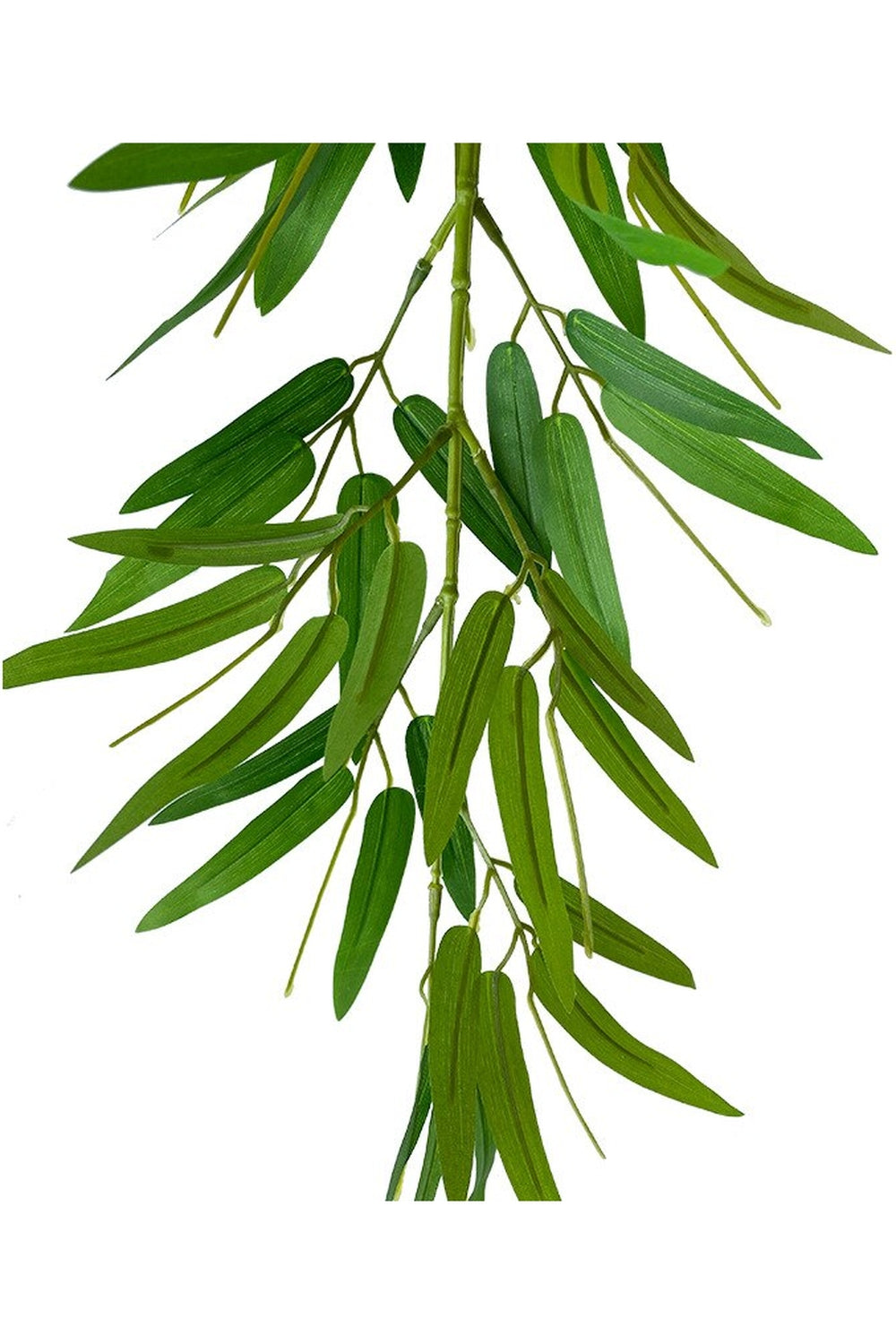 Lisslune | bamboo leaf