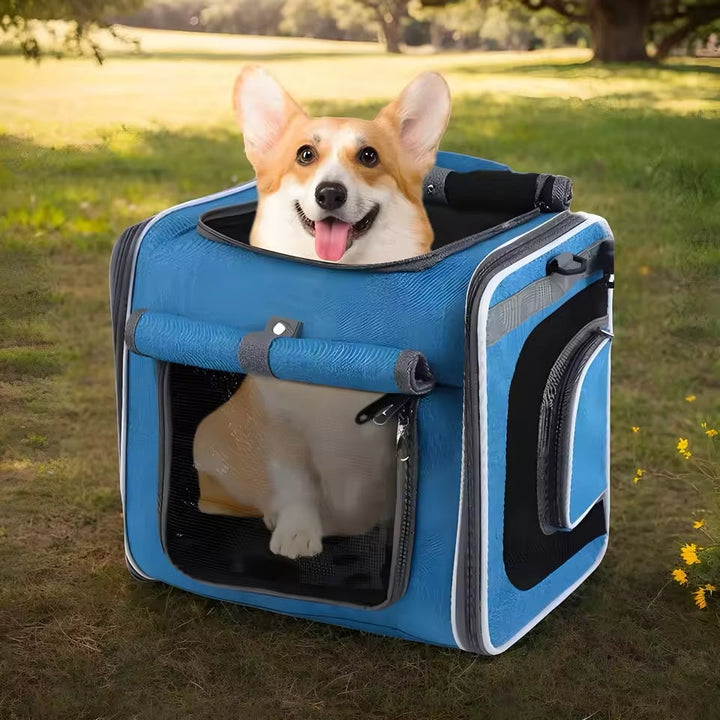 Lisslune | Expandable Pet Bike Basket – Comfortable & Safe Bicycle Carrier for Small Dogs and Cats