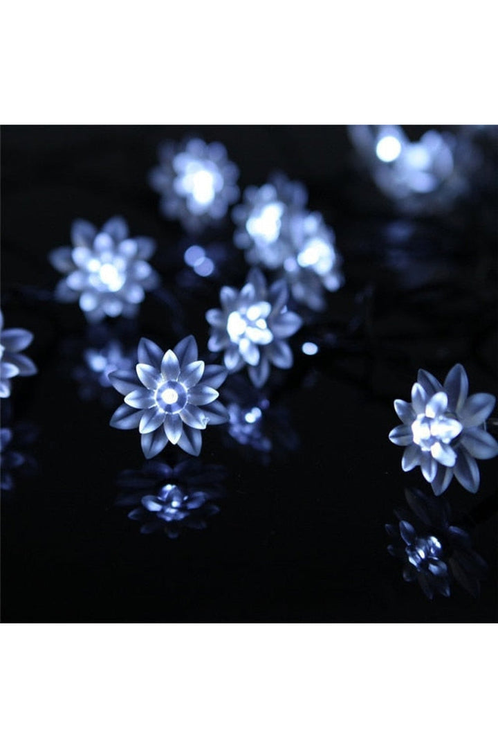 Lisslune | Solar Blossom String Lights