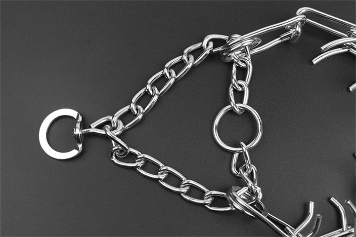 Lisslune | Dog Pincher Collar - Stylish B
