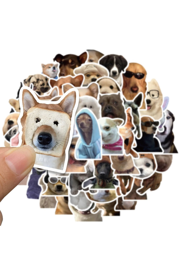 Lisslune | Cat Meme Funny Stickers 10/30/50/100 Pieces