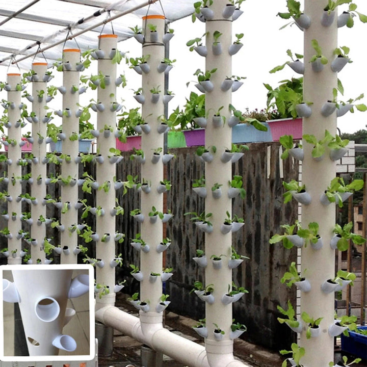 Lisslune | Vertical Hydroponic Plant Growth System: Enhance Your Gardening Experience