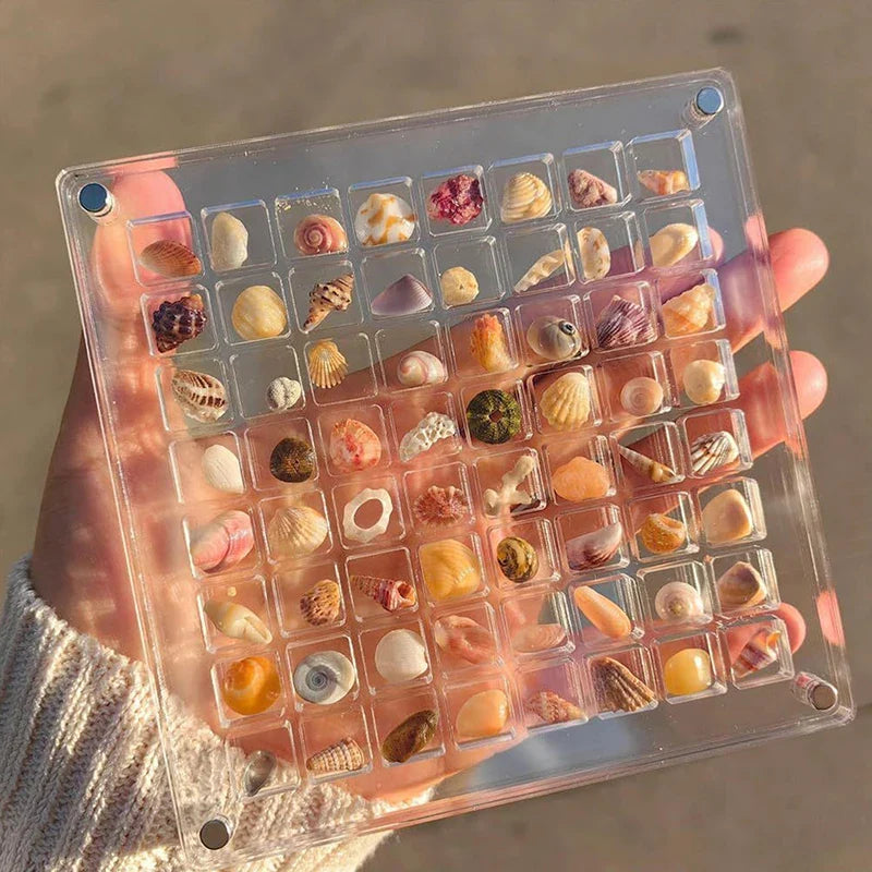 Lisslune | Acrylmuschel Display-Box mit Magneten Langlebige Seestern Schmuckaufbewahrungsbox für Perlen-Nagelschmuck