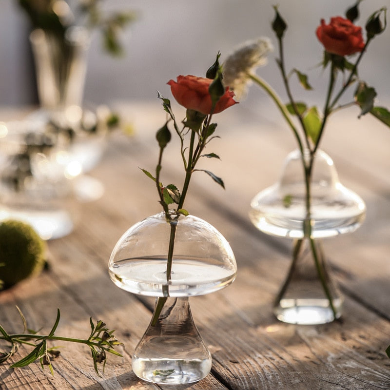 Lisslune | Mushroom Inspired Elegant Glass Vase