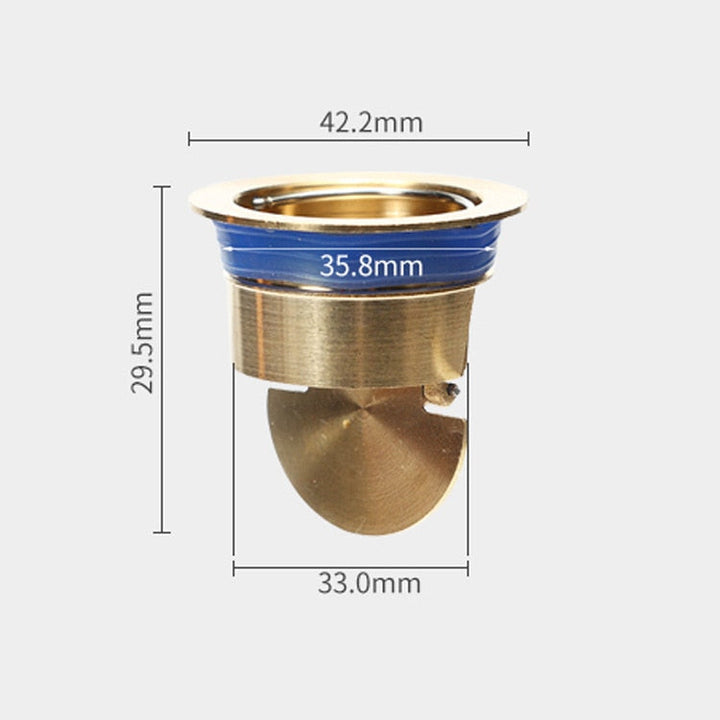 Lisslune | Drain Guard Anti Odor Strainer Filter