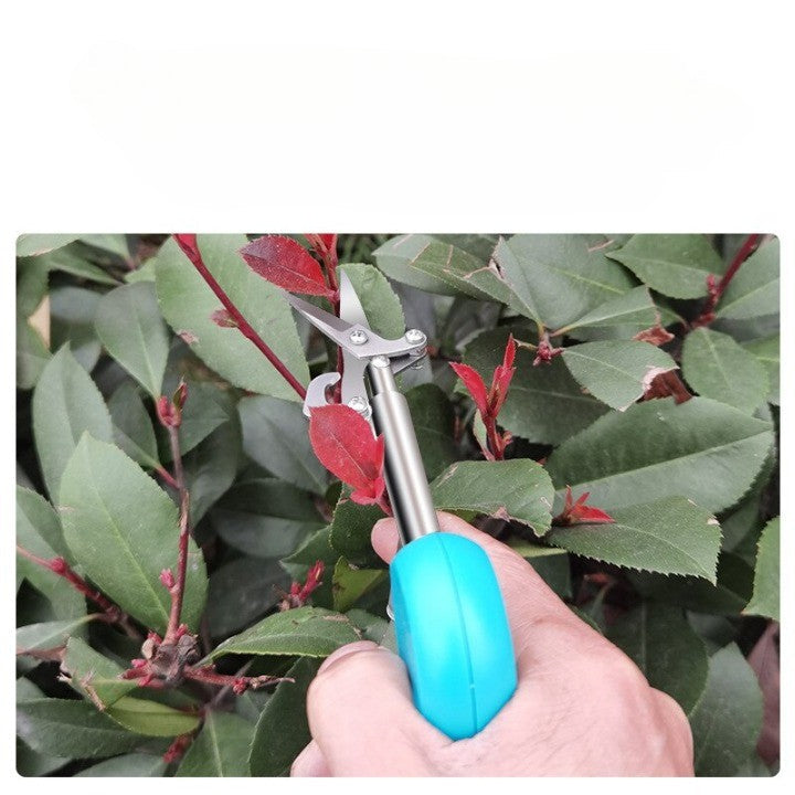 Lisslune | Easy Gardening Fruit Picking Scissors