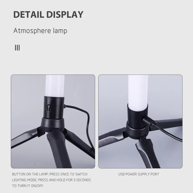 Lisslune | Floor Lamp Living Room