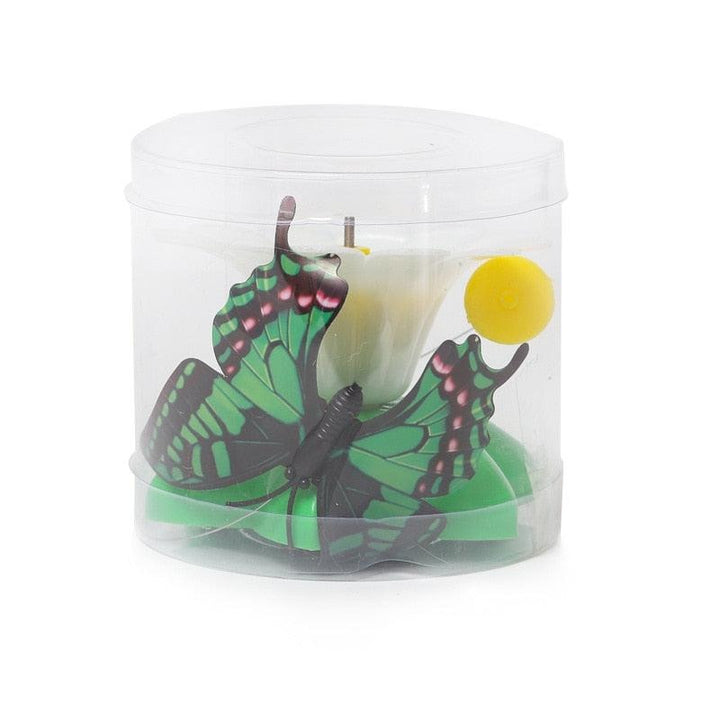 Lisslune | Electric interactive flying insect toy for cats - Engaging fun with realistic movements