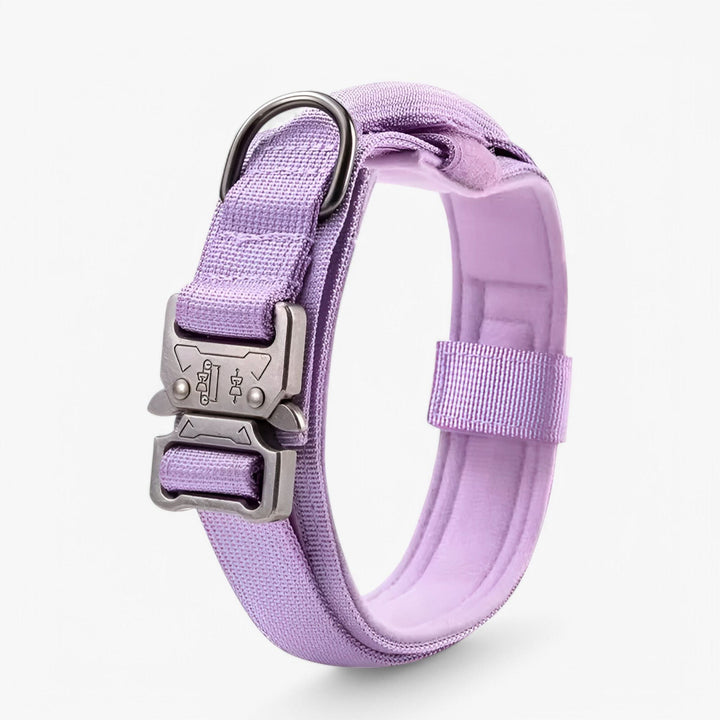 Lisslune | OutdoorHeld Dog Collar – For active dogs with endurance