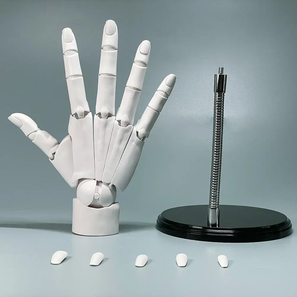 Lisslune | Multi-Pose Drawing Sculpting Art Hand Model